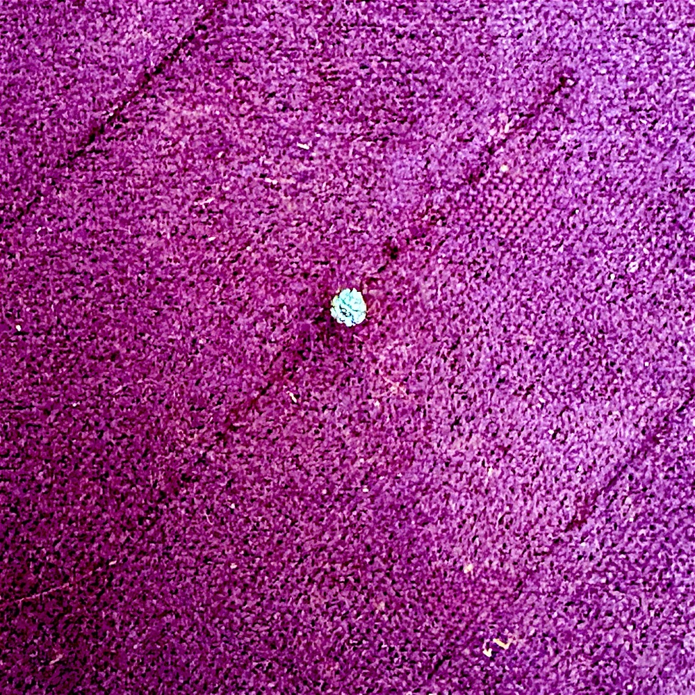 Maria Tash Invisible Set Blue Diamond 2mm Earring